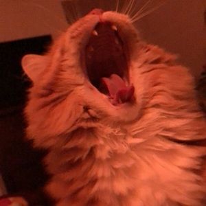 Meet your Posher, Micaela